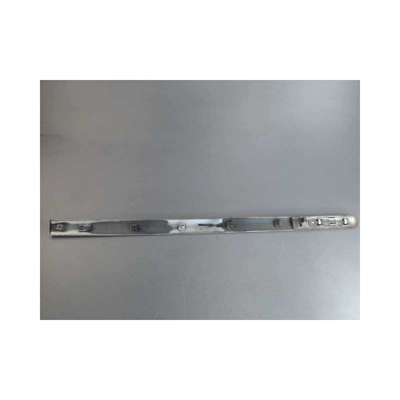 PROTECTION PORTE AVANT GAUCHE RENAULT CLIO