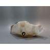 RESERVOIR LAVE-GLACE AVANT PEUGEOT 309