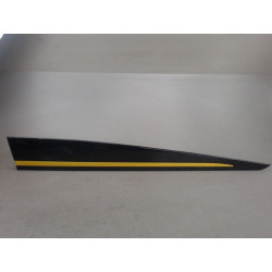 PROTECTION PORTE AVD