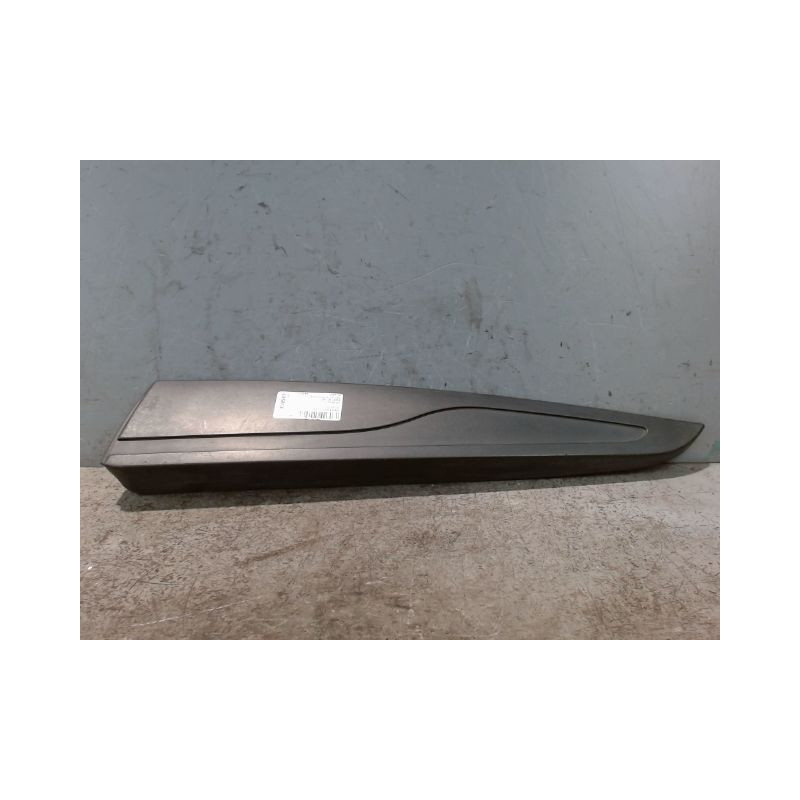 PROTECTION PORTE ARRIERE GAUCHE RENAULT CLIO IV
