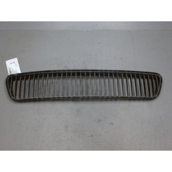 GRILLE PARE-CHOC AV