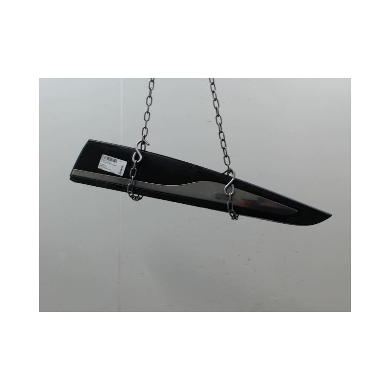PROTECTION PORTE ARRIERE GAUCHE RENAULT CLIO IV Phase 1 2012-...