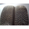 Paire de pneus SEMPERIT ALL SEASON-GRIP 195 55 16 91 V