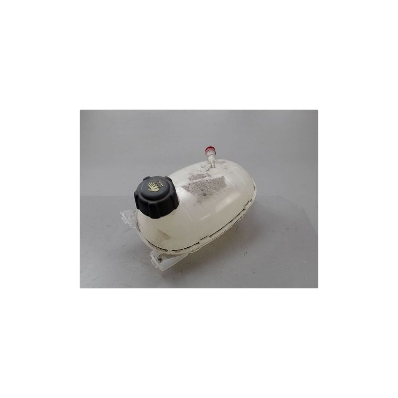 VASE EXPANSION DACIA DUSTER
