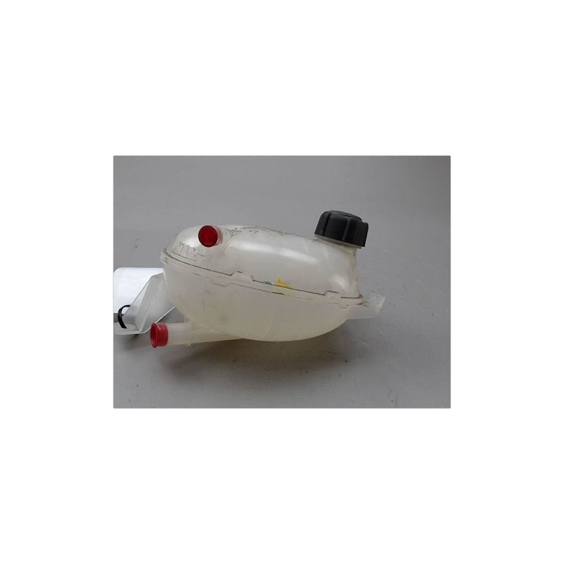 VASE EXPANSION DACIA DUSTER