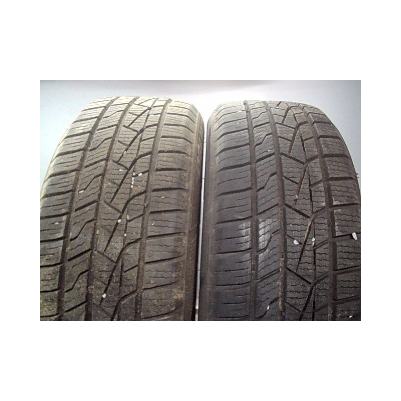 Paire de pneus DELINTE AW5 195 55 16 87 H