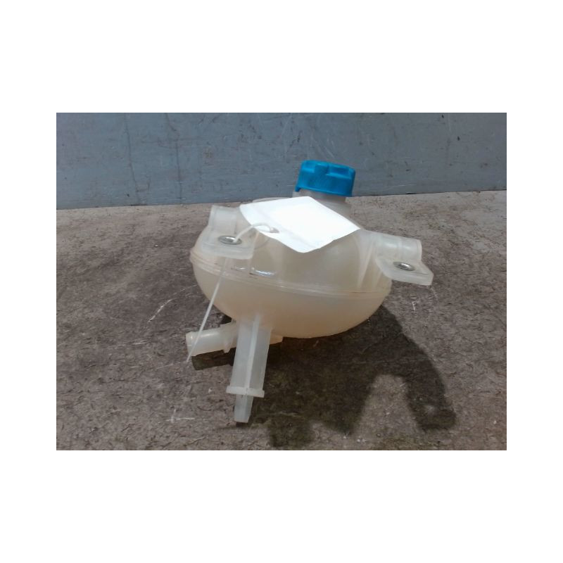 VASE EXPANSION FIAT 500