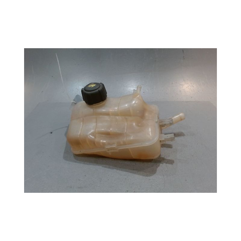 VASE EXPANSION RENAULT MEGANE