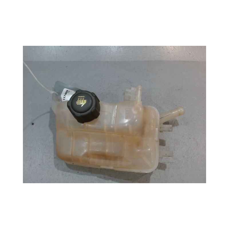 VASE EXPANSION RENAULT MEGANE