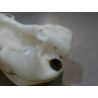 RESERVOIR LAVE-GLACE AVANT PEUGEOT 3008