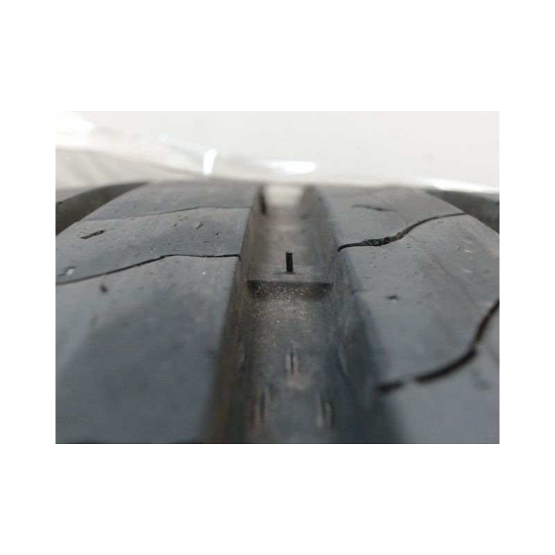 Paire de pneus ROADHOG RGHP 02 205 50 17 93 W