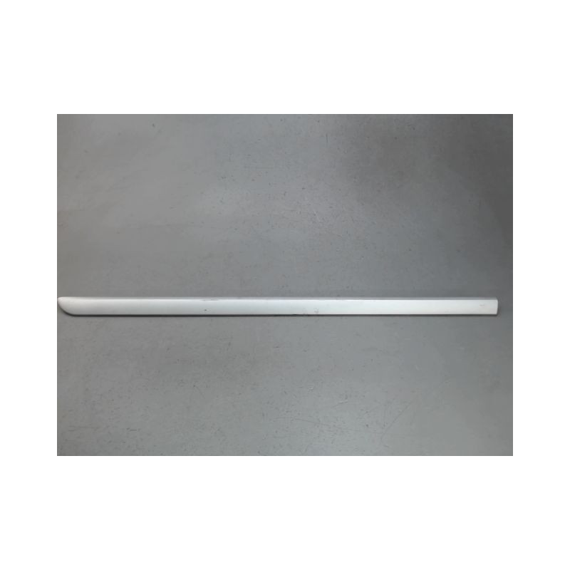 PROTECTION PORTE AVANT GAUCHE RENAULT LAGUNA