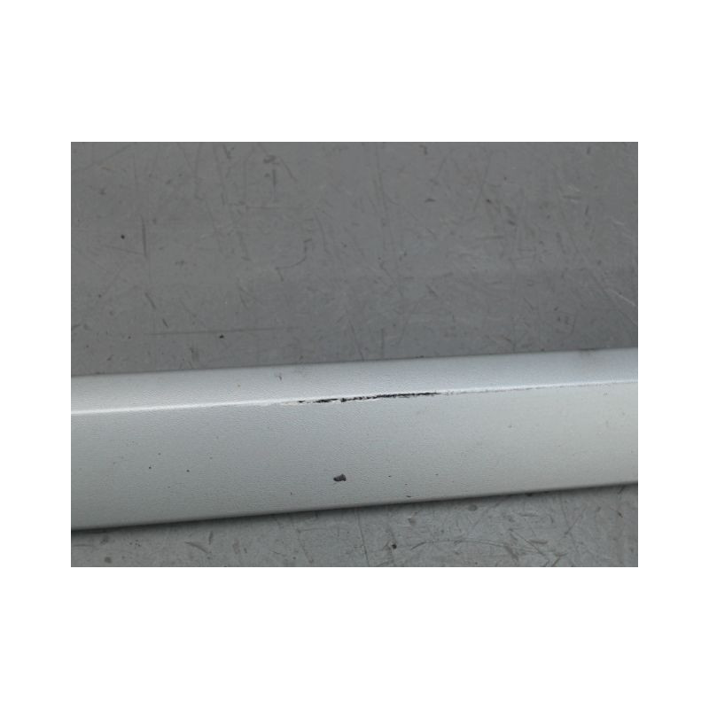 PROTECTION PORTE AVANT GAUCHE RENAULT LAGUNA