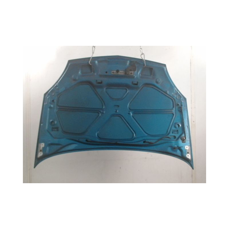 CAPOT RENAULT CLIO