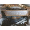 MOTEUR DIESEL SEAT ALTEA 1.9 TDI