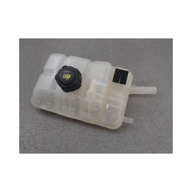 VASE EXPANSION RENAULT MEGANE