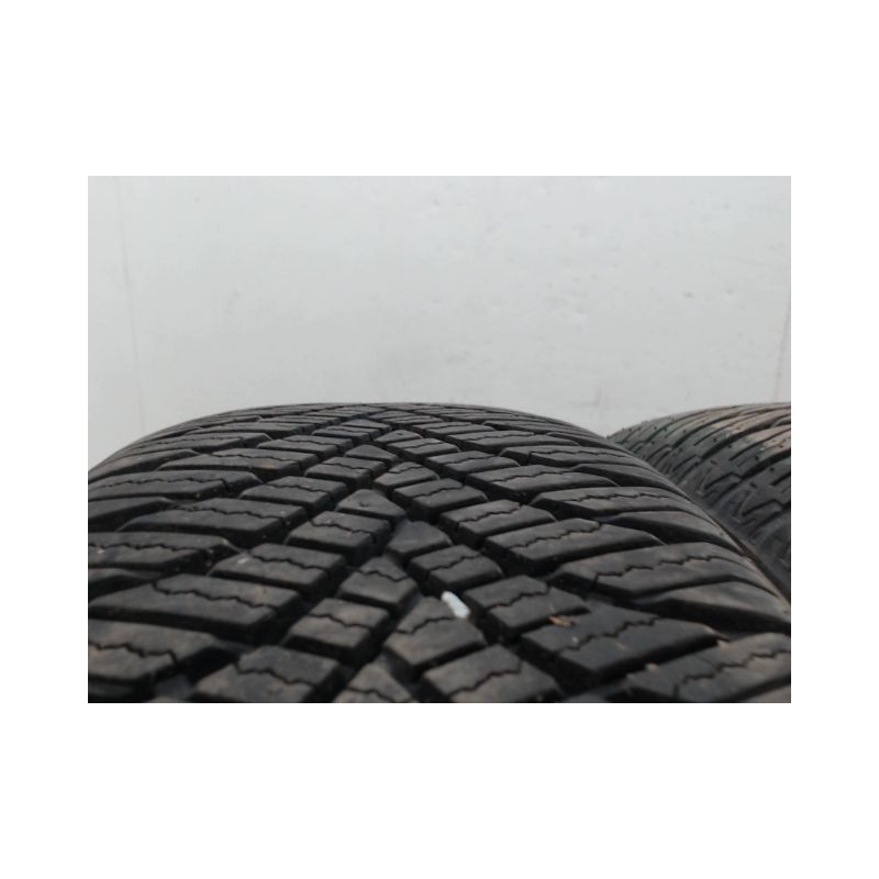 Paire de pneus TRAZANO ALL SEASON ELITE Z-401 195 55 16 91 V