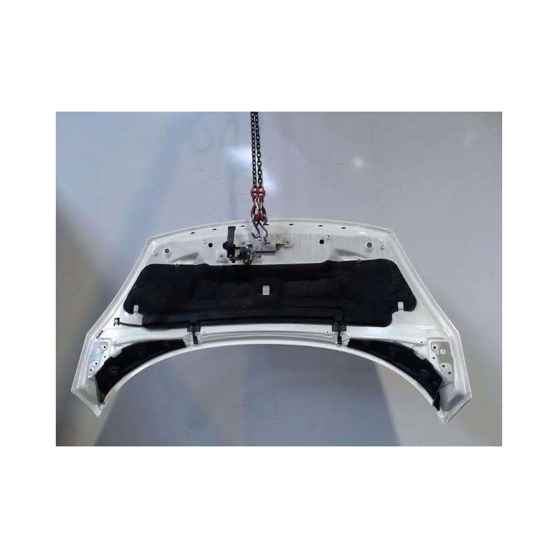 CAPOT RENAULT SCENIC III 2009-