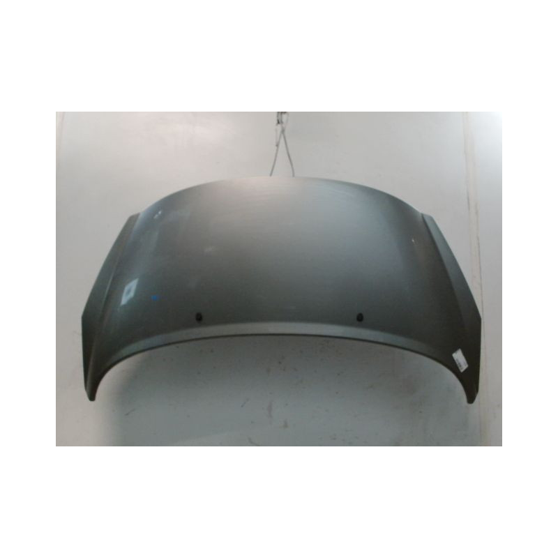 CAPOT PEUGEOT 207
