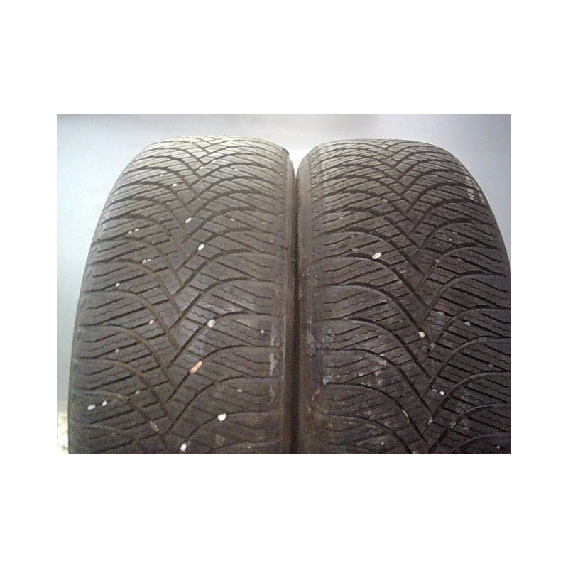 Paire de pneus WESTLAKE ALL SEASON ELITE Z-401 205 55 17 95 V