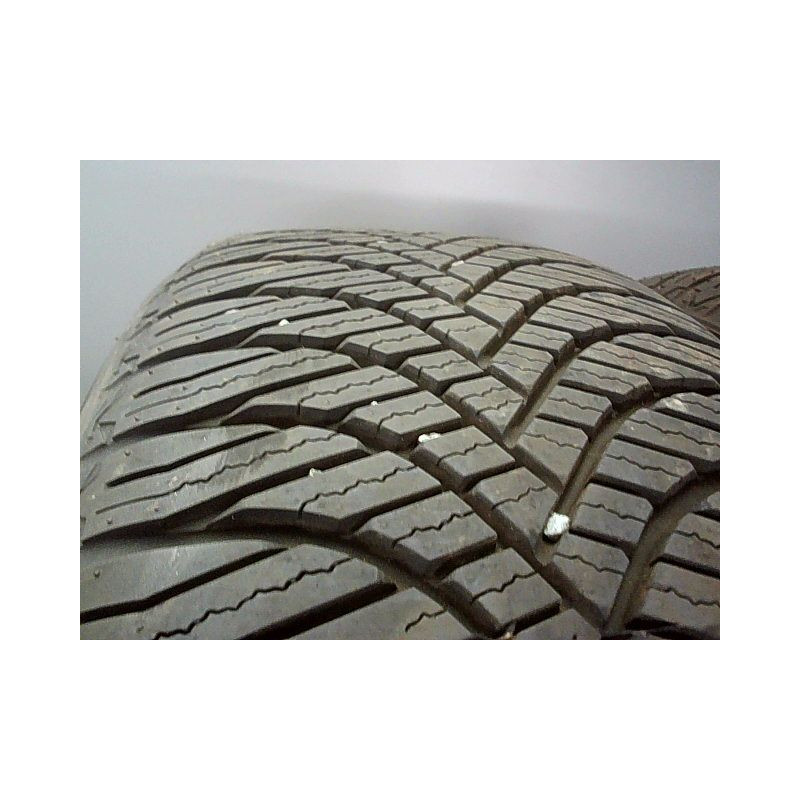 Paire de pneus WESTLAKE ALL SEASON ELITE Z-401 205 55 17 95 V