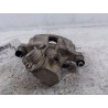 ETRIER DE FREIN ARRIERE DROIT FORD FOCUS BREAK 2005-
