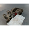 ETRIER DE FREIN ARRIERE GAUCHE OPEL ZAFIRA 2006-