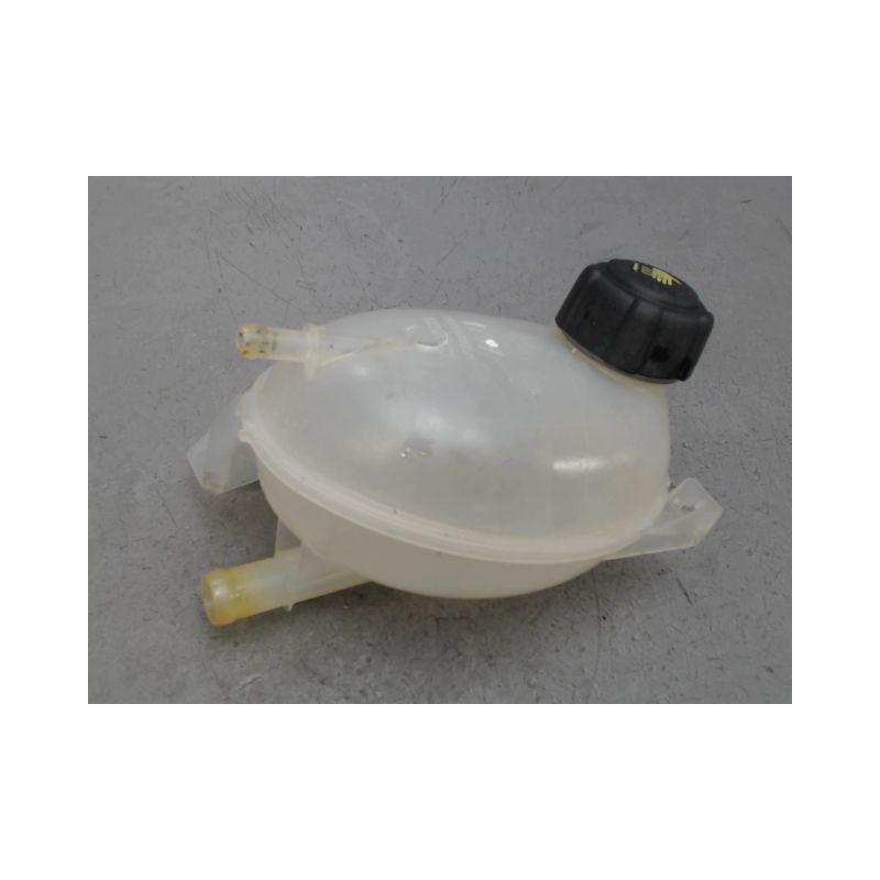 VASE EXPANSION RENAULT CLIO