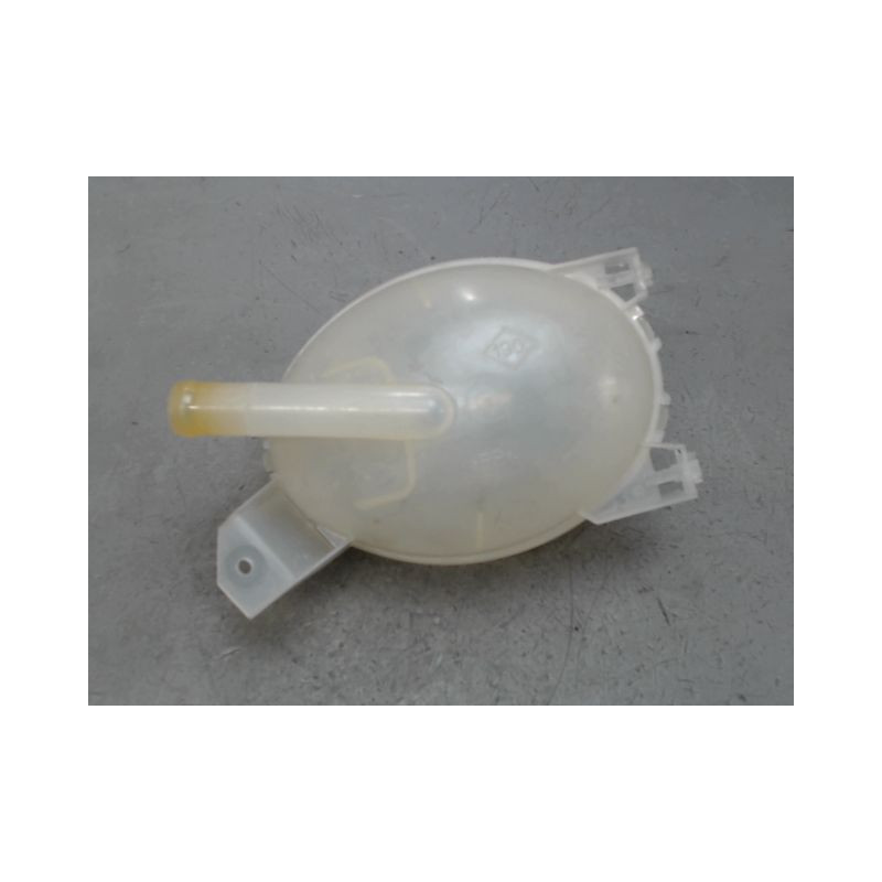 VASE EXPANSION RENAULT CLIO
