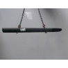PROTECTION PORTE AVANT DROIT RENAULT CLIO II PH.2 01-06