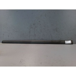 PROTECTION PORTE AVD