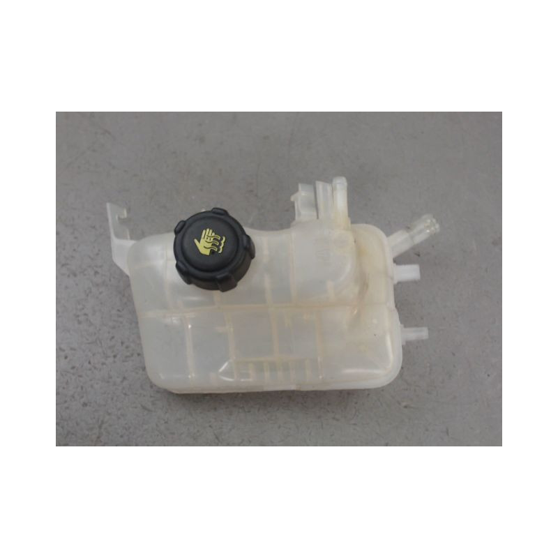 VASE EXPANSION RENAULT MEGANE