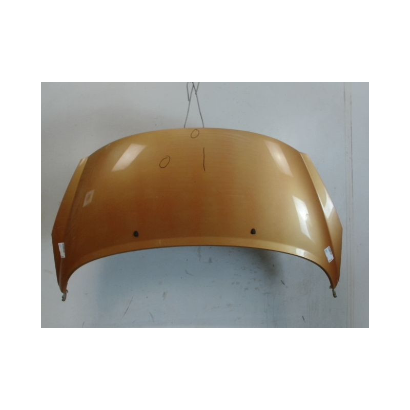 CAPOT PEUGEOT 207