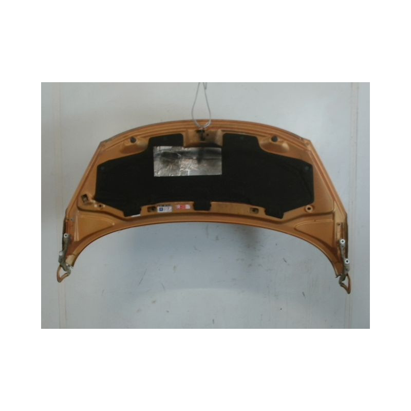 CAPOT PEUGEOT 207