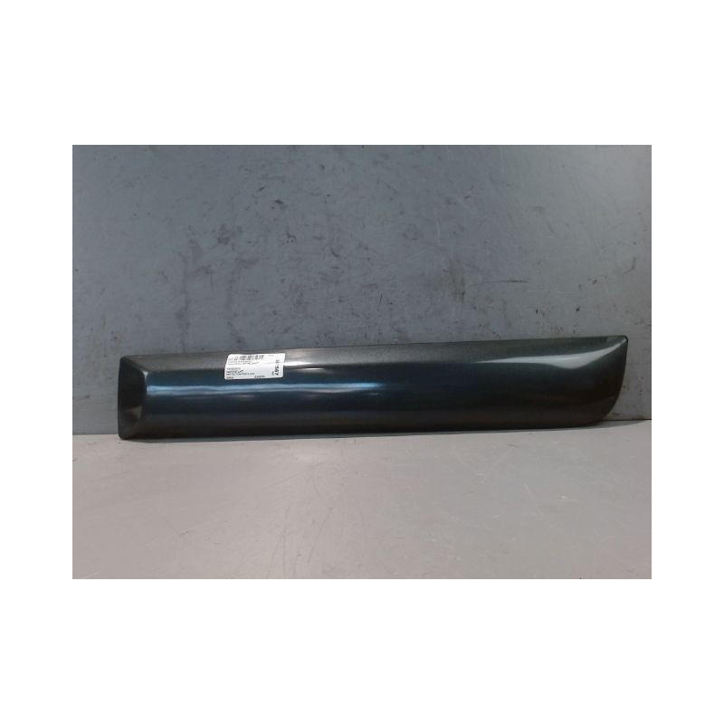 PROTECTION PORTE ARRIERE GAUCHE DACIA SANDERO 2008-