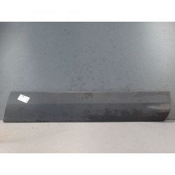 PROTECTION PORTE AVD