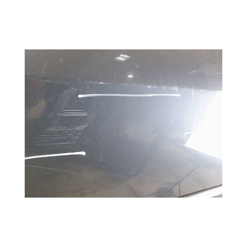 PORTE AVANT GAUCHE RENAULT CLIO III 2005-