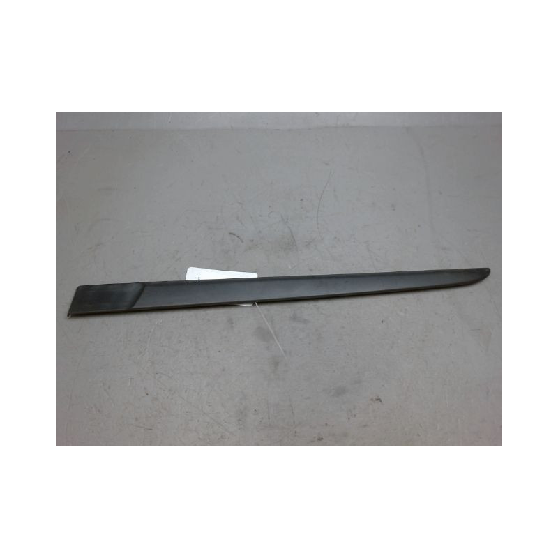 PROTECTION PORTE ARRIERE GAUCHE RENAULT CLIO III 2005-