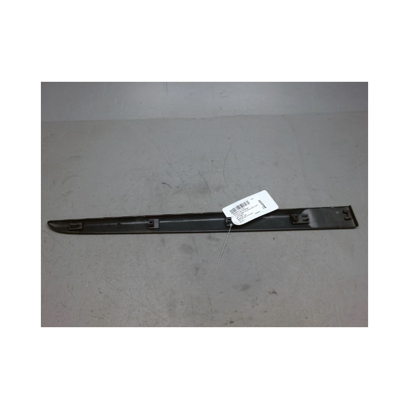 PROTECTION PORTE ARRIERE GAUCHE RENAULT CLIO III 2005-