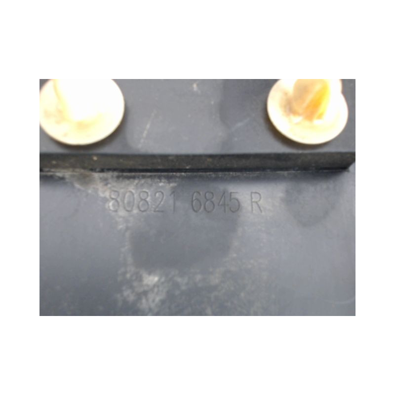 PROTECTION PORTE AVANT GAUCHE RENAULT TWINGO