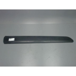 PROTECTION PORTE AVD
