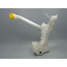 RESERVOIR LAVE-GLACE AVANT RENAULT CLIO 5  DIESEL