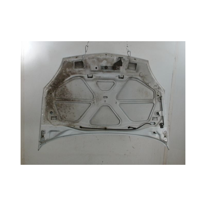 CAPOT RENAULT CLIO
