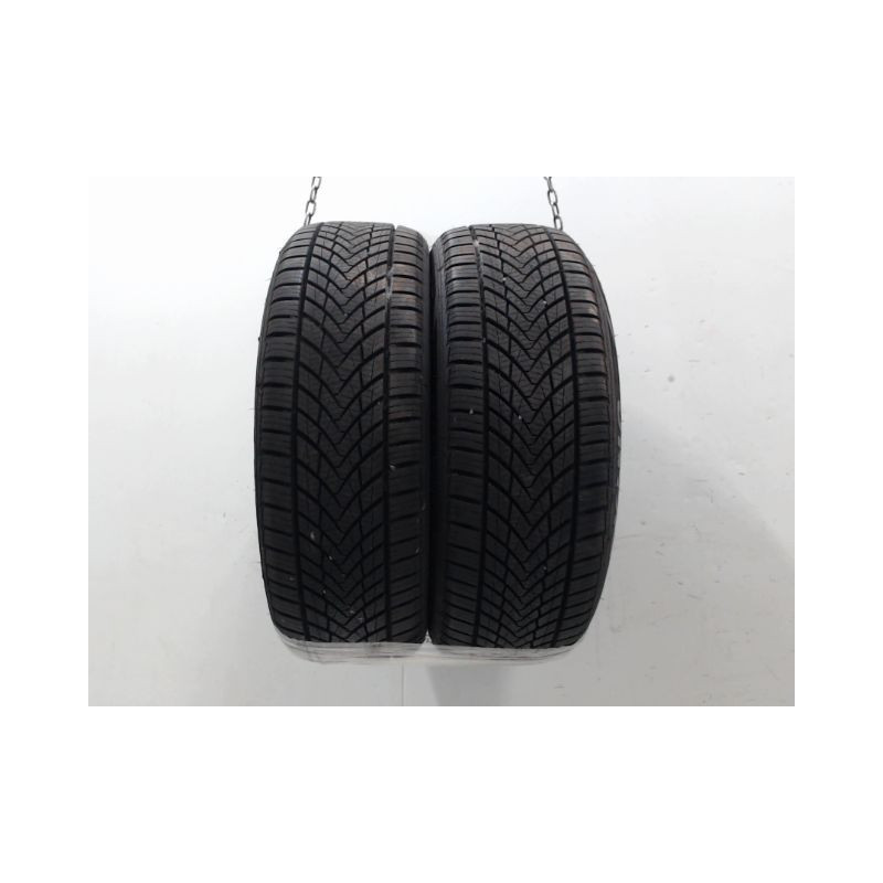 Paire de pneus ROADKING ALL SEASON ARGOS 195 55 16 91 V