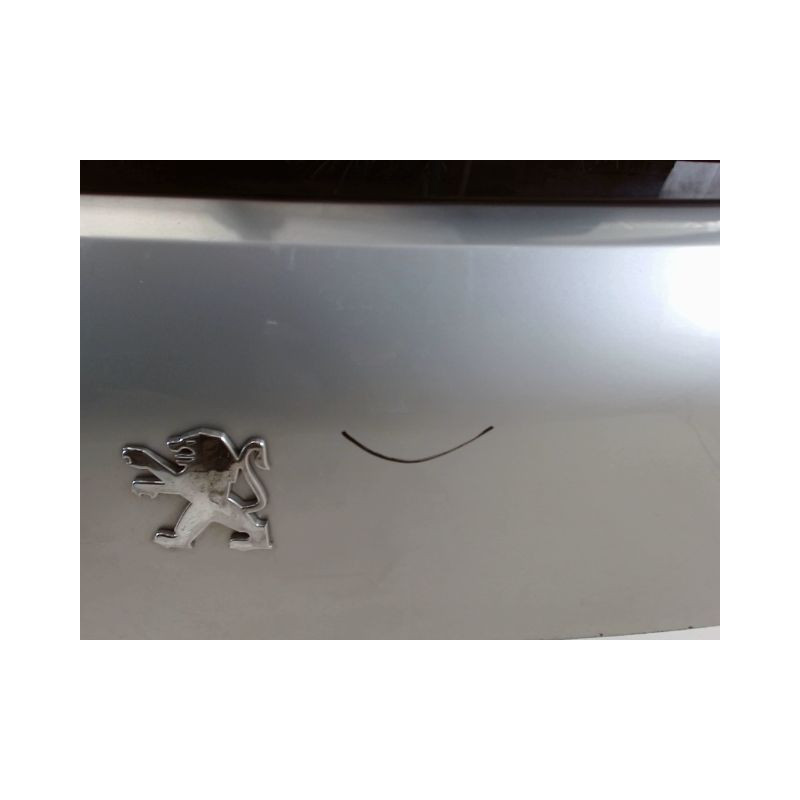 HAYON PEUGEOT 3008 2009-