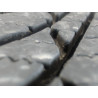 Paire de pneus FIRESTONE MULTISEASON 195 55 16 91 H