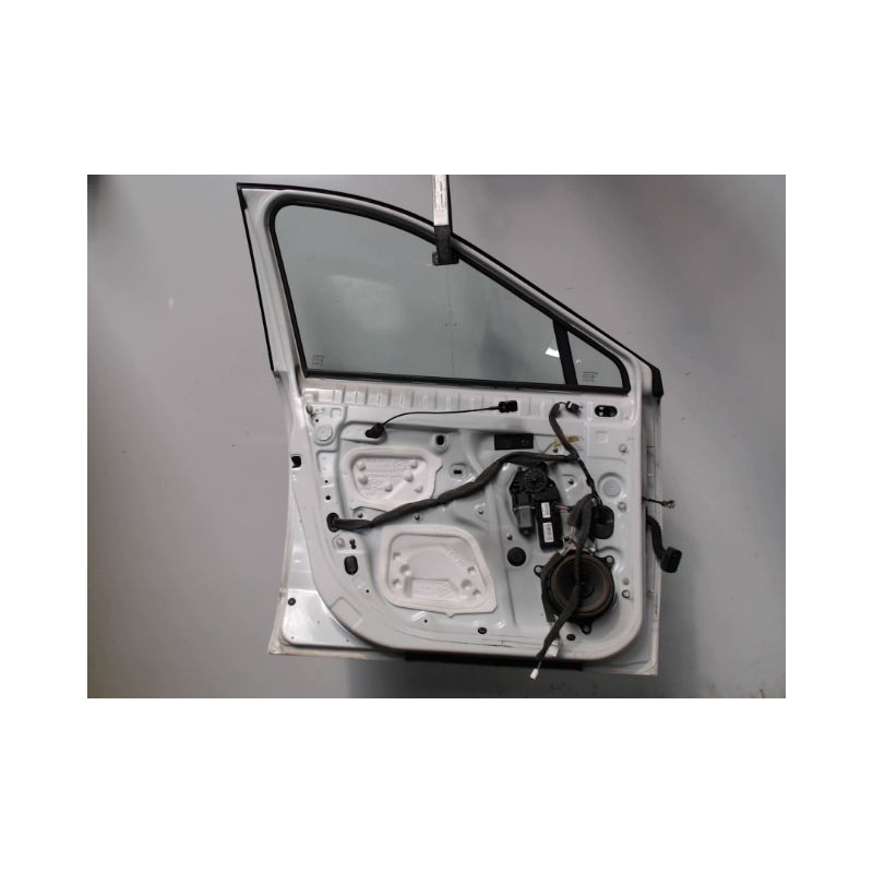 PORTE AVANT GAUCHE RENAULT SCENIC III 2009-