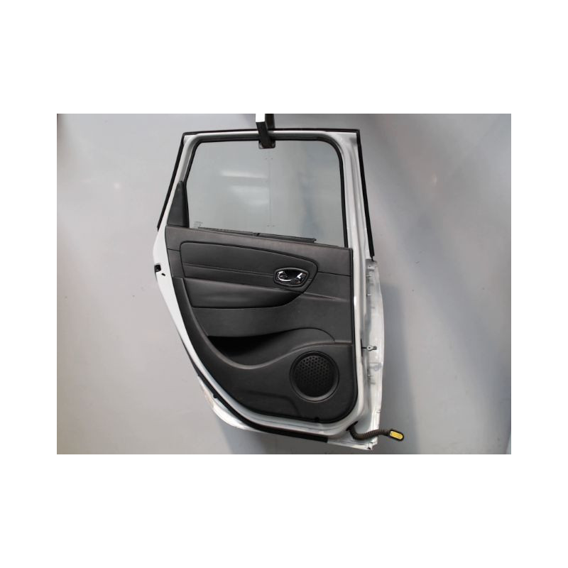 PORTE ARRIERE GAUCHE RENAULT SCENIC III 2009-
