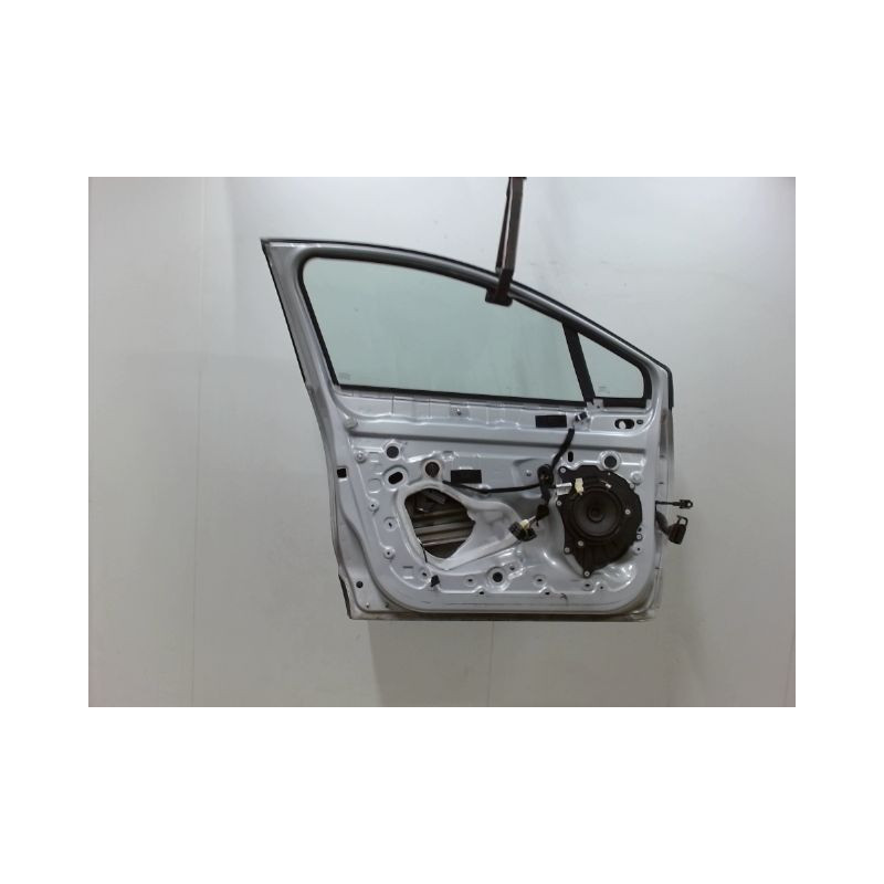 PORTE AVANT GAUCHE RENAULT CLIO IV Phase 1 2012-...