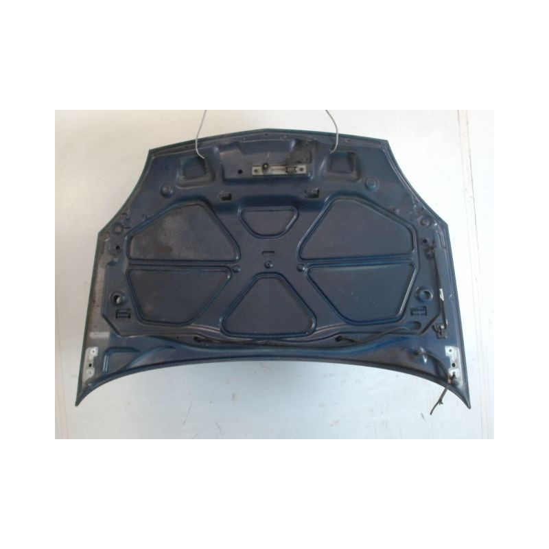 CAPOT RENAULT CLIO